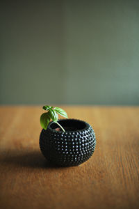 Close-up of plant on table