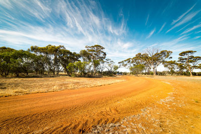 Trees on field against sky