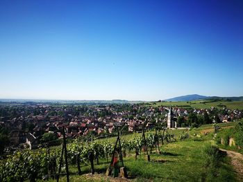 Scenic view of field against clear blue sky