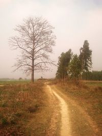 Road passing through field