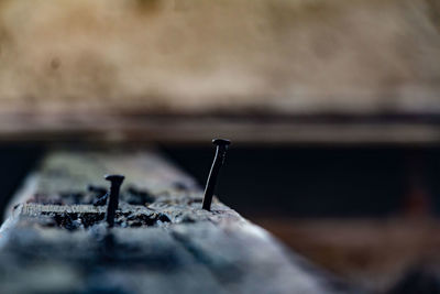 Close-up of rusty metal