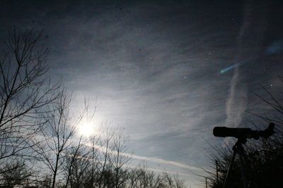 Silhouette of bare trees against sky