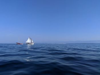 Sailboat sailing in sea against clear blue sky