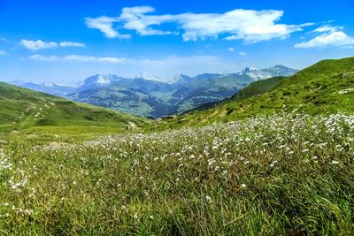 Scenic view of landscape against sky