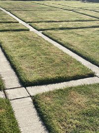 High angle view of trail on grassy field