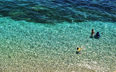 High angle view of women swimming in sea