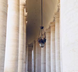 Low angle view of electric lamp on building vatican vaticano column in a row