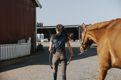 Rear view of woman leading horse on paddock