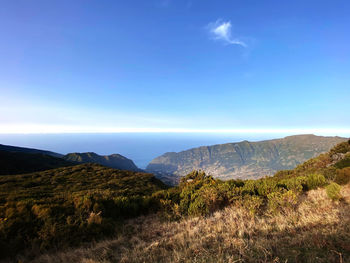 Scenic view of landscape against blue sky