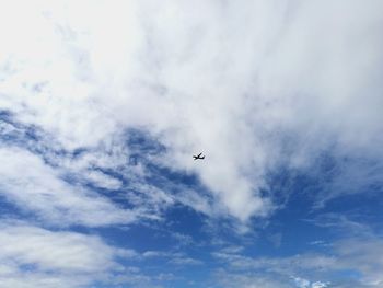 Low angle view of airplane flying in sky