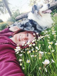 Portrait of cute dog lying on land