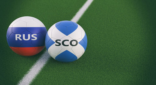 High angle view of soccer ball on grass