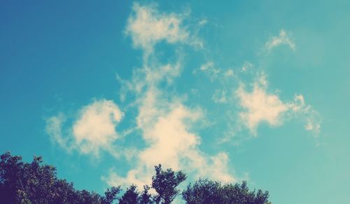 Low angle view of trees against blue sky