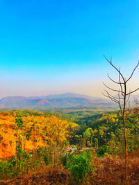 Scenic view of field against clear blue sky