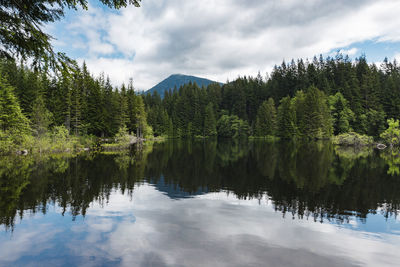 Scenic view of lake by trees against sky