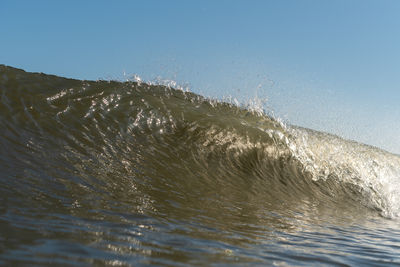 wave