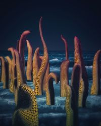 Close-up of yellow sea