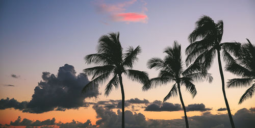 Silhouette palm trees against sky during sunset