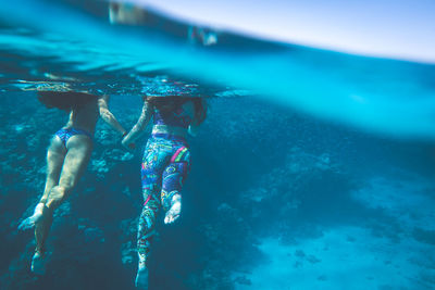 Low section of women swimming in pool