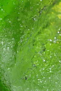 Close-up of water drops on leaf