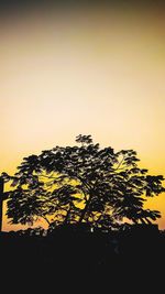 Low angle view of silhouette tree against sky during sunset