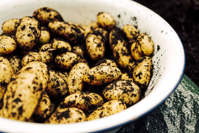 Fresh harvested potatoes