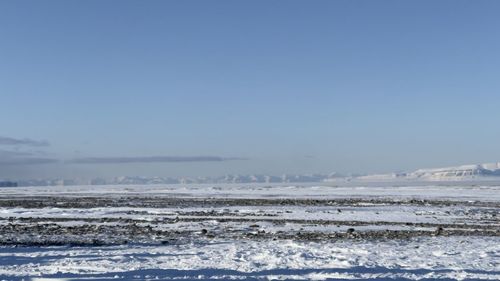 winter