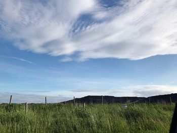 Scenic view of field against sky