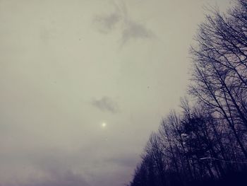 Low angle view of bare tree against sky