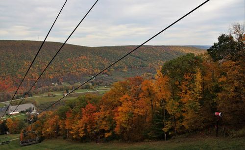 Trees on landscape against sky during autumn