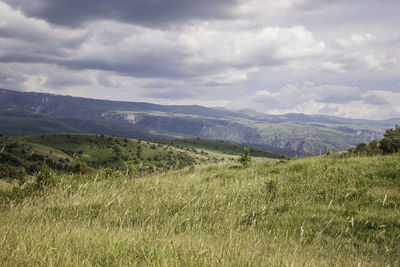 Scenic view of landscape against sky