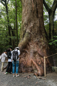 Tourists on tree trunk in forest