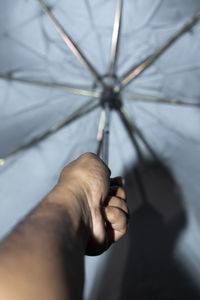 Close-up of hand holding leaf