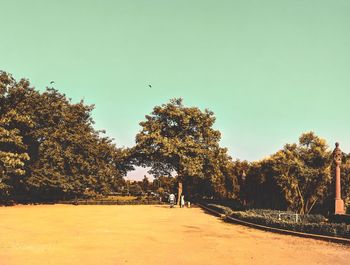 Trees on field against clear sky