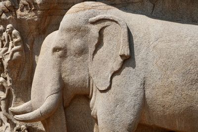 Close-up of statue