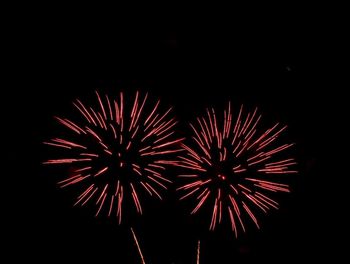 Low angle view of firework display at night