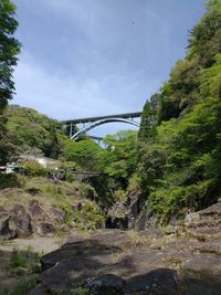 Arch bridge amidst trees against sky