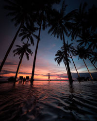 Silhouette palm trees by swimming pool against sky during sunset