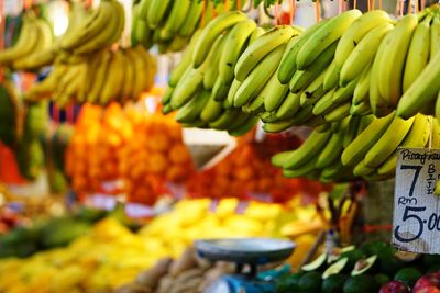 Fruits for sale at market stall