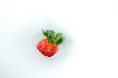 Close-up of strawberry over water against white background