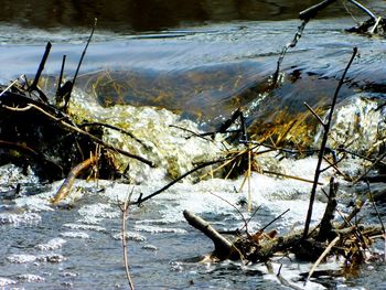 Close-up of fishing net in lake