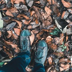 Low section of man standing on dry leaves