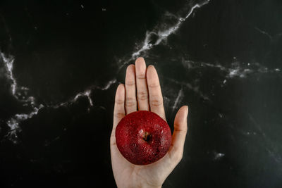 Midsection of person holding apple against black background