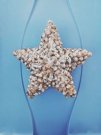 Close-up of pinecone star against blue background