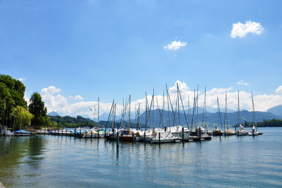 Sailboats moored in harbor against sky