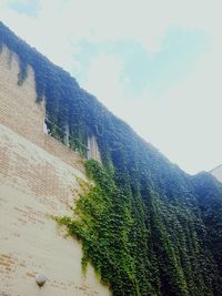 Low angle view of building against sky