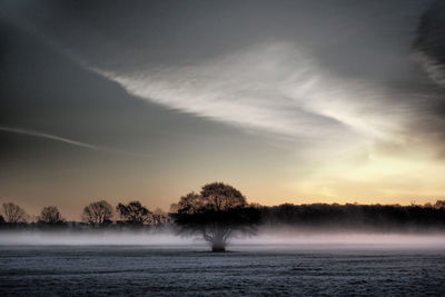 Scenic view of trees during winter against sky