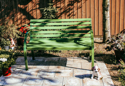 Bench in park