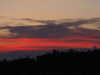 Silhouette trees against dramatic sky during sunset