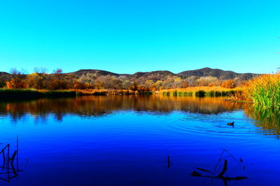 Scenic view of lake against clear blue sky